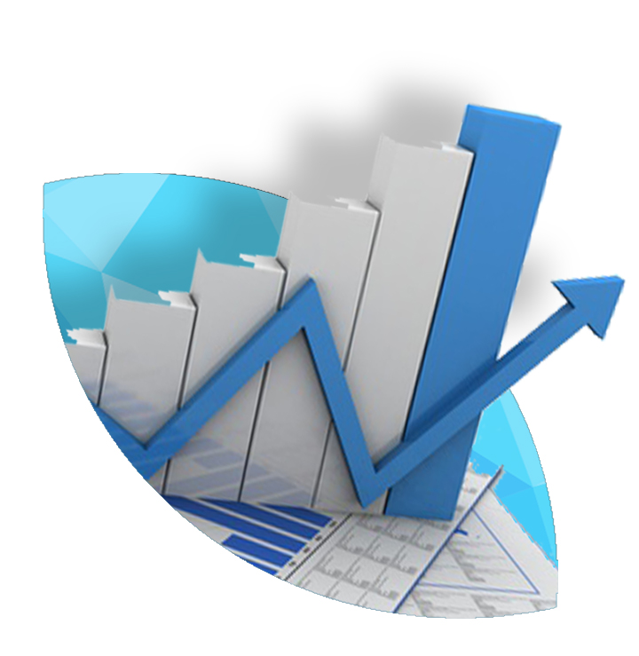 Outsourced Finance Director