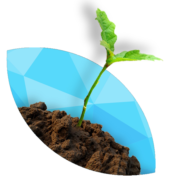 Service for New Businesses